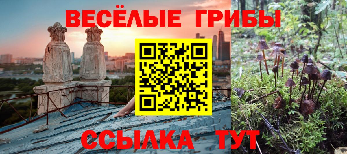 Пыть-Ях  Псилоцибиновые грибы Psilocybine cubensis  Вход с VPN 